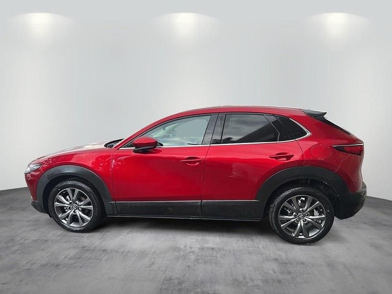Gebraucht Mazda CX-30 Nagisa 186 PS (136 kW) 2024 SUV