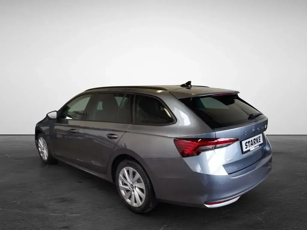 Gebraucht Skoda Octavia Selection 150 PS (110 kW) 2025 Grau (graphitegrau metallic) Kombi