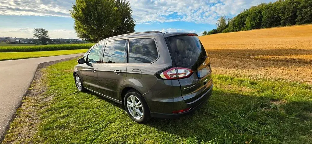 Gebraucht Ford Galaxy 150 PS (110 kW) 2019 Grau Van / Kleinbus