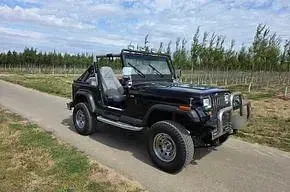 Gebraucht Jeep Wrangler 178 PS (130 kW) 1991 Schwarz SUV