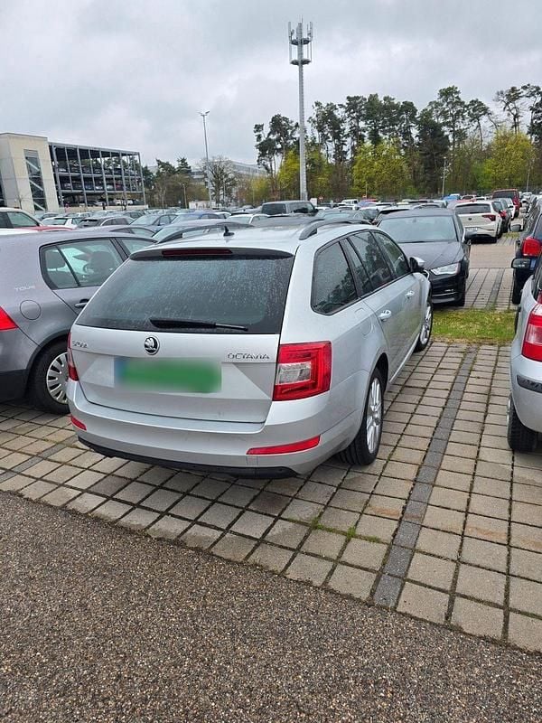 Usado Skoda Octavia Joy 150 HP (110 kW) 2016 Cinzento Citadino