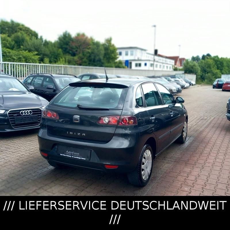 Gebraucht Seat Ibiza 69 PS (50 kW) 2009 Grau Kleinwagen