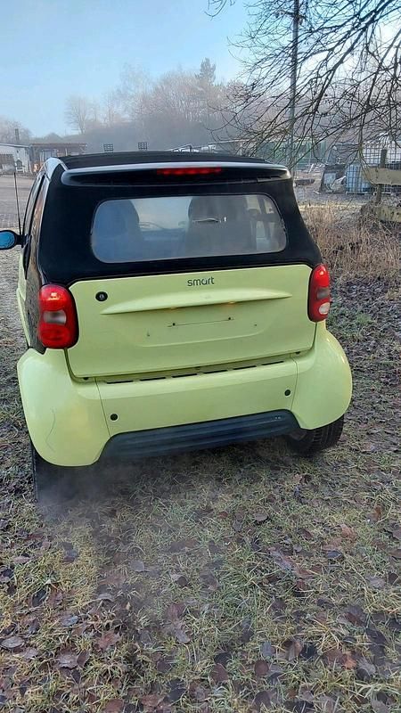 Gebraucht Smart ForTwo Cabrio 61 PS (44 kW) 2002 Grün Cabrio