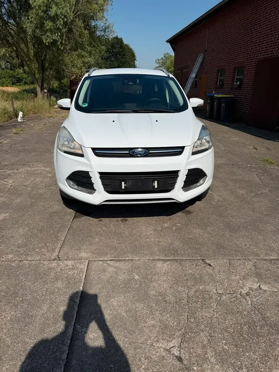 Gebraucht Ford Kuga 140 PS (102 kW) 2016 Weiß SUV