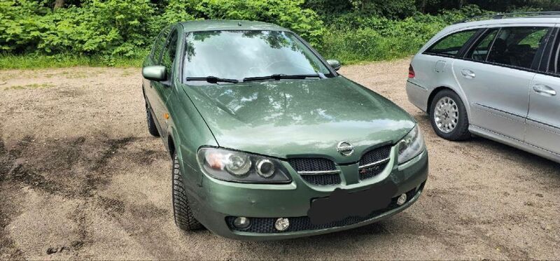 Grün Gebraucht 2003 Nissan Almera Limousine | 2.800 € (Guter Preis) - Bild 1/4
