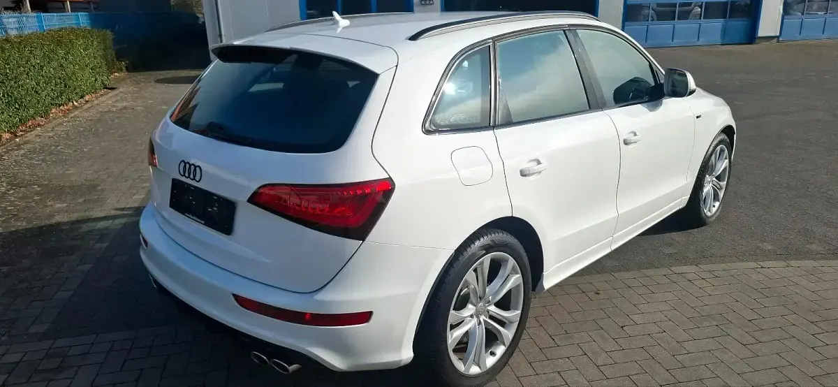 Gebraucht Audi SQ5 Competition 326 PS (239 kW) 2017 Weiß SUV