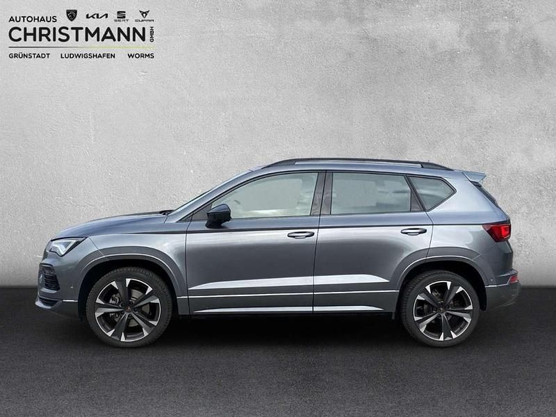 Usata Cupra Ateca Basis 150 CV (110 kW) 2024 Grigio SUV