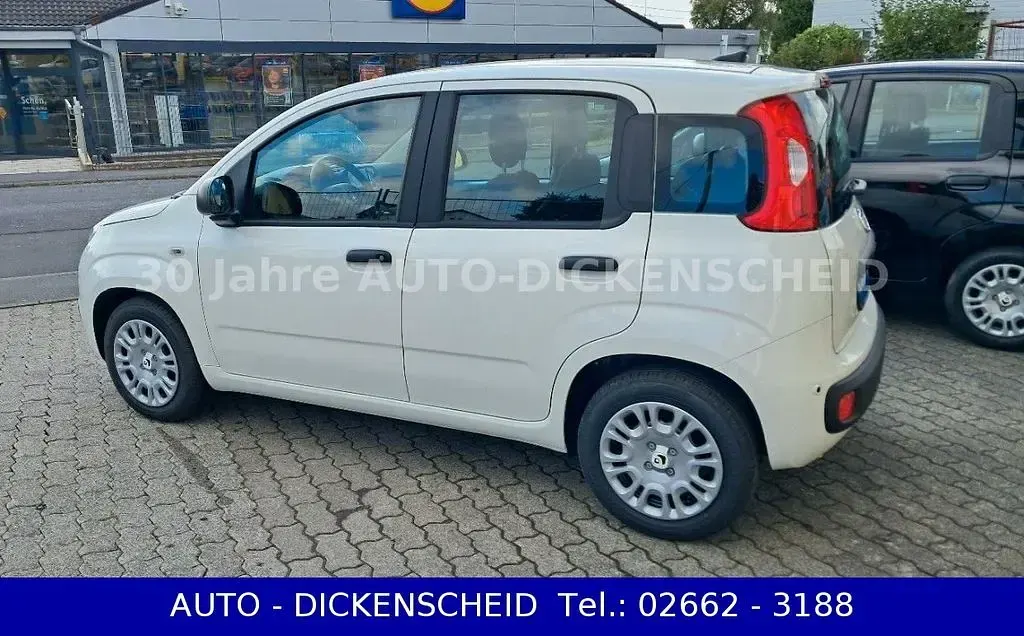 Neu Fiat Panda 69 PS (50 kW) 2025 Weiß Kleinwagen