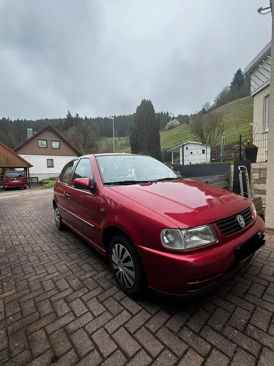 Usata VW Polo 65 CV (47 kW) 1997 Rosso Utilitaria