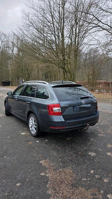 Gebraucht Skoda Octavia 150 PS (110 kW) 2017 Grau Kombi