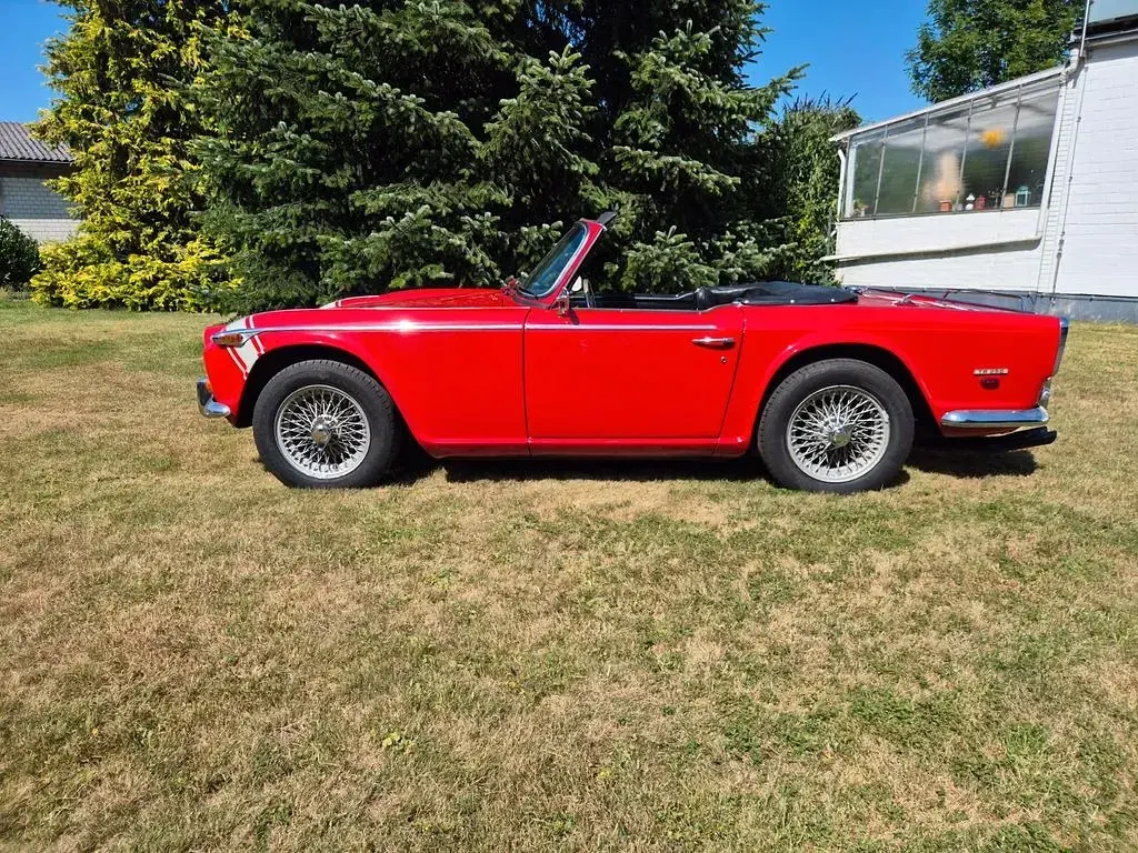 Gebraucht Triumph TR 250 105 PS (77 kW) 1967 Rot Cabrio