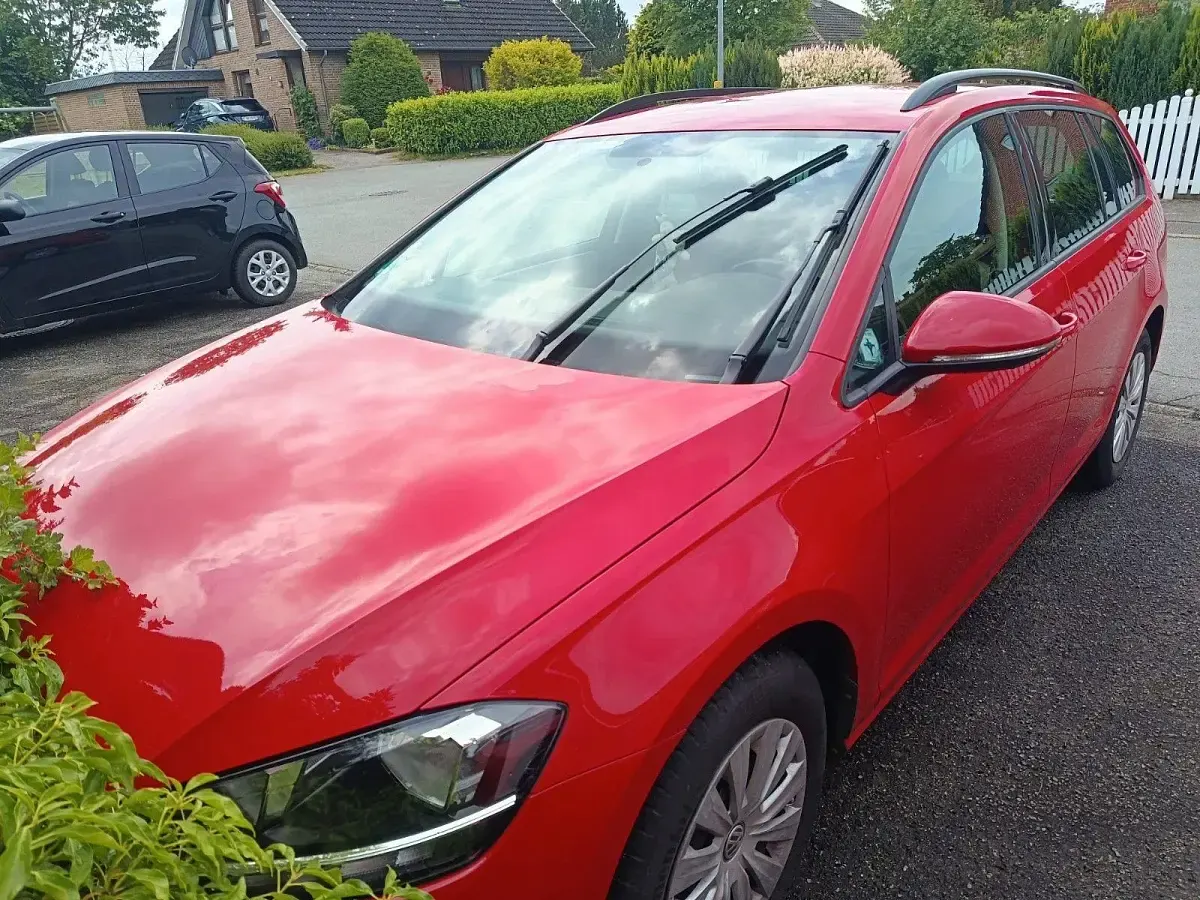 Gebraucht VW Golf VII Trendline 116 PS (85 kW) 2019 Rot Kombi