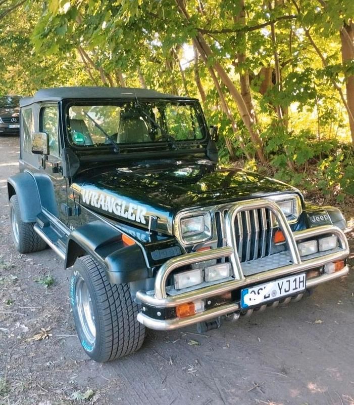 Gebraucht Jeep Wrangler 121 PS (88 kW) 1993 Schwarz SUV