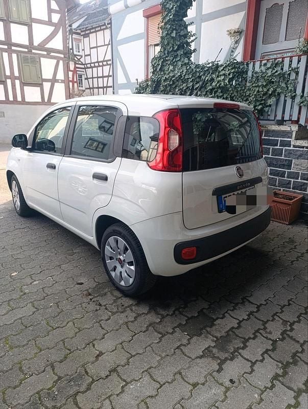 Gebraucht Fiat Panda 69 PS (50 kW) 2015 Weiß Kleinwagen