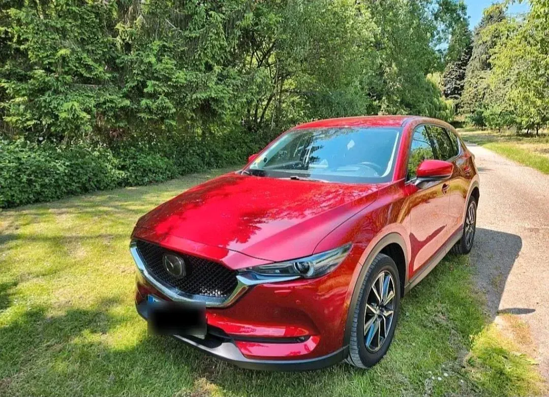 Gebraucht Mazda CX-5 184 PS (135 kW) 2019 Rot SUV