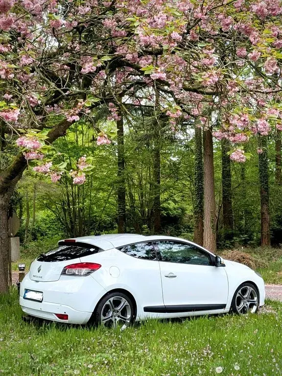 Brugt Renault Mégane Dynamique 179 HK (131 kW) 2010 Hvid Coupe