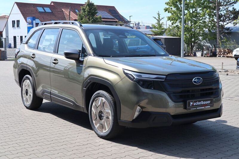 Neu Subaru Forester Trend 136 PS (100 kW) 2025 Grün SUV