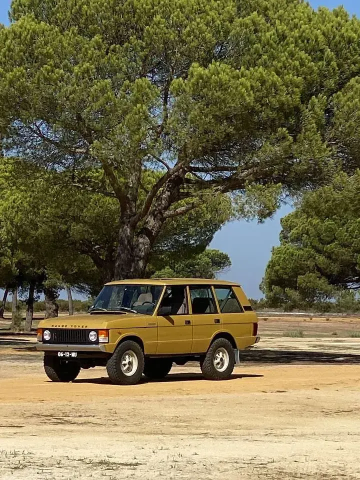 Gebraucht Land Rover Range Rover Classic 182 PS (133 kW) 1991 SUV