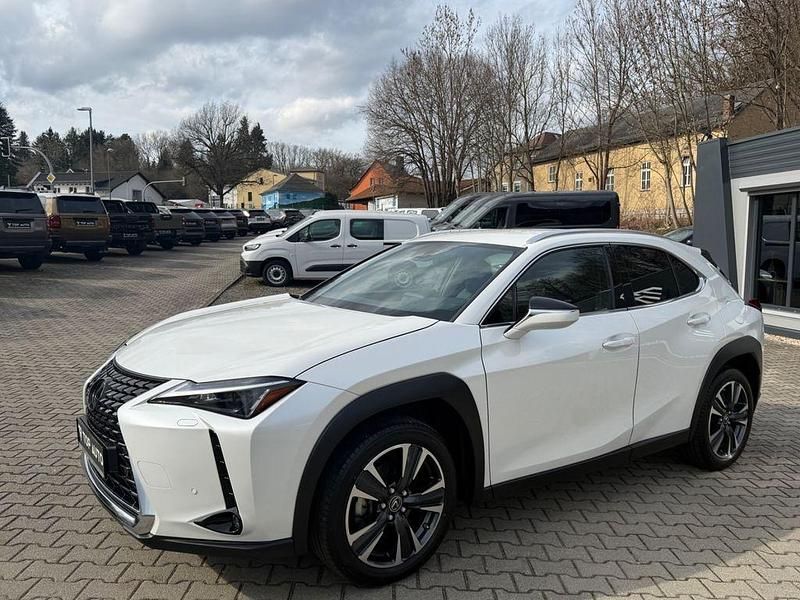 Gebraucht Lexus UX 250h 184 PS (135 kW) 2024 Weiß SUV