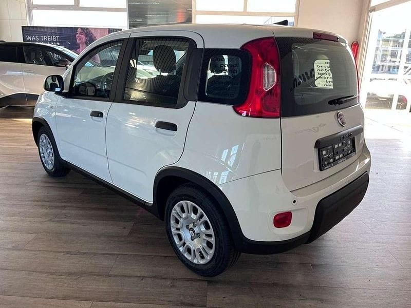 Gebraucht Fiat Panda 69 PS (50 kW) 2024 Gelato weiss Kleinwagen