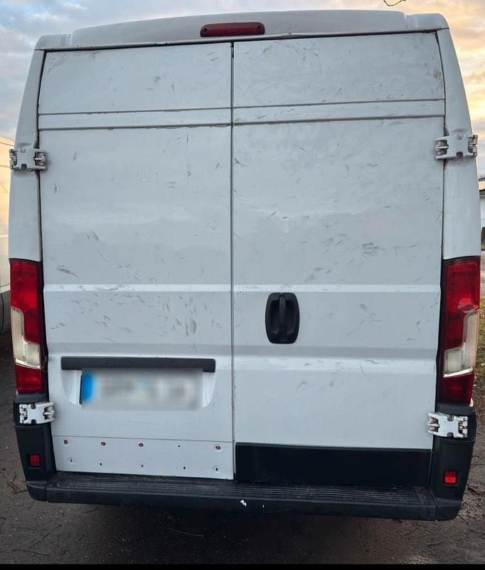 Gebraucht Fiat Ducato 130 PS (95 kW) 2019 Weiß Van