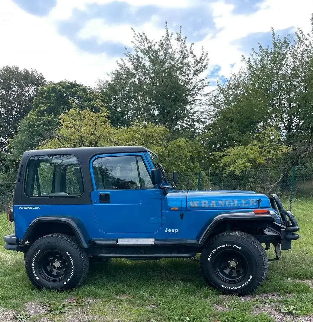 Gebraucht Jeep Wrangler 177 PS (130 kW) 1992 Blau SUV