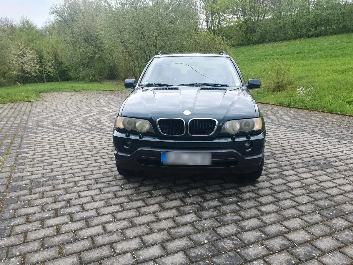 Gebraucht BMW X5 231 PS (169 kW) 2001 Grün SUV