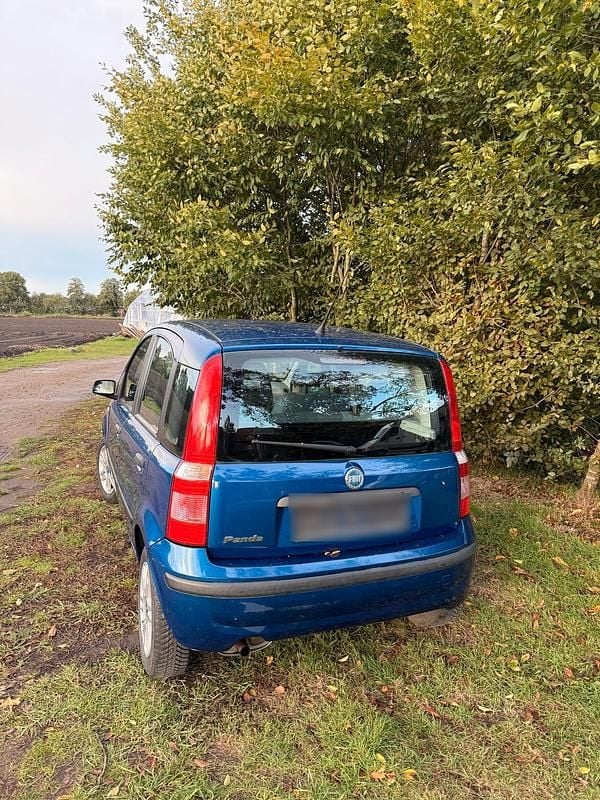 Gebraucht Fiat Panda 55 PS (40 kW) 2005 Blau Kleinwagen