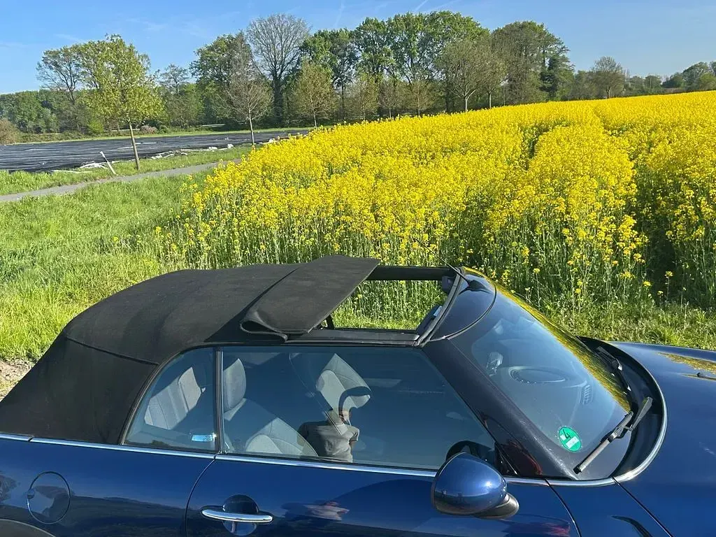Gebraucht Mini One Cabriolet 102 PS (75 kW) 2018 Blau Cabrio