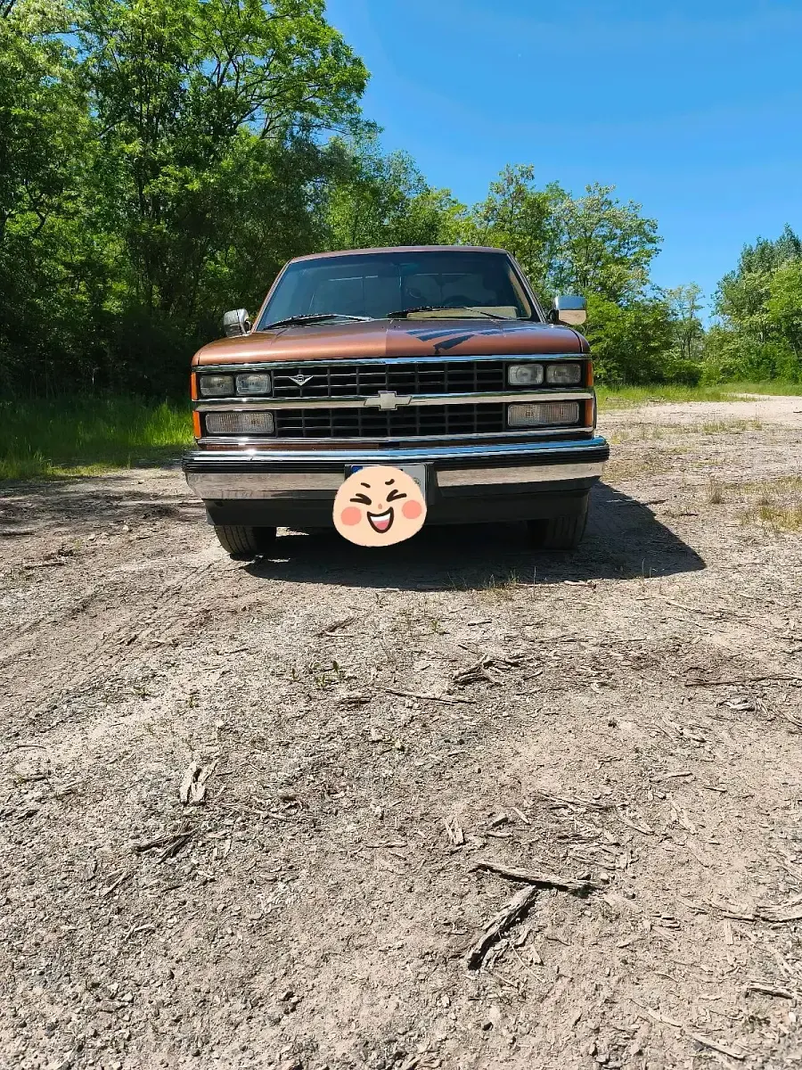 Gebraucht Chevrolet C1500 210 PS (154 kW) 1989 Braun Pickup
