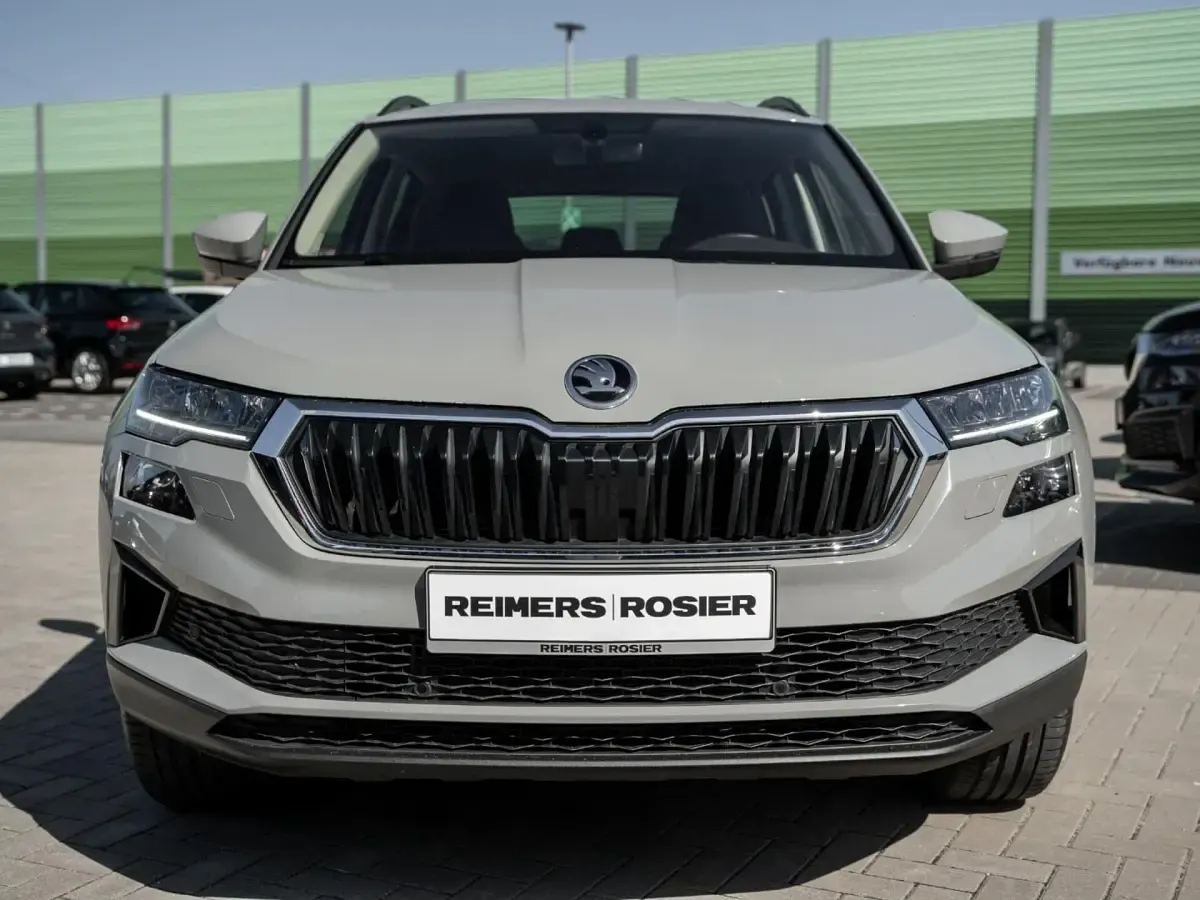Gebraucht Skoda Karoq Ambition 150 PS (110 kW) 2023 Grau SUV