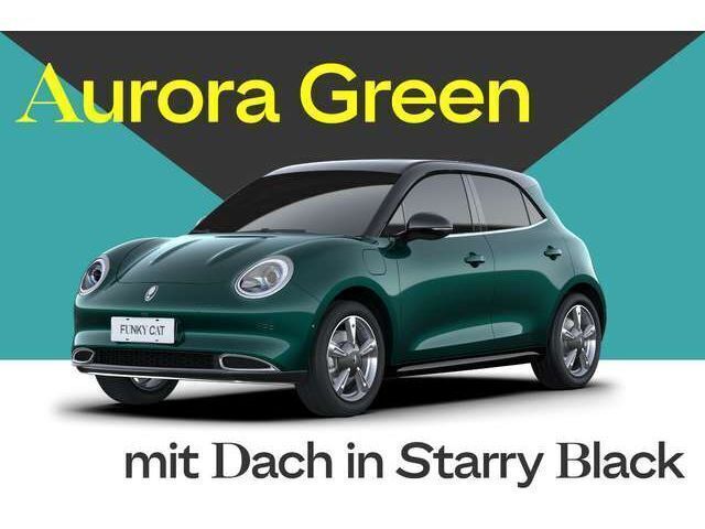 Neu 2024 Ora 03 Limousine | 29.900 € (Etwas zu teuer) - Bild 1/4