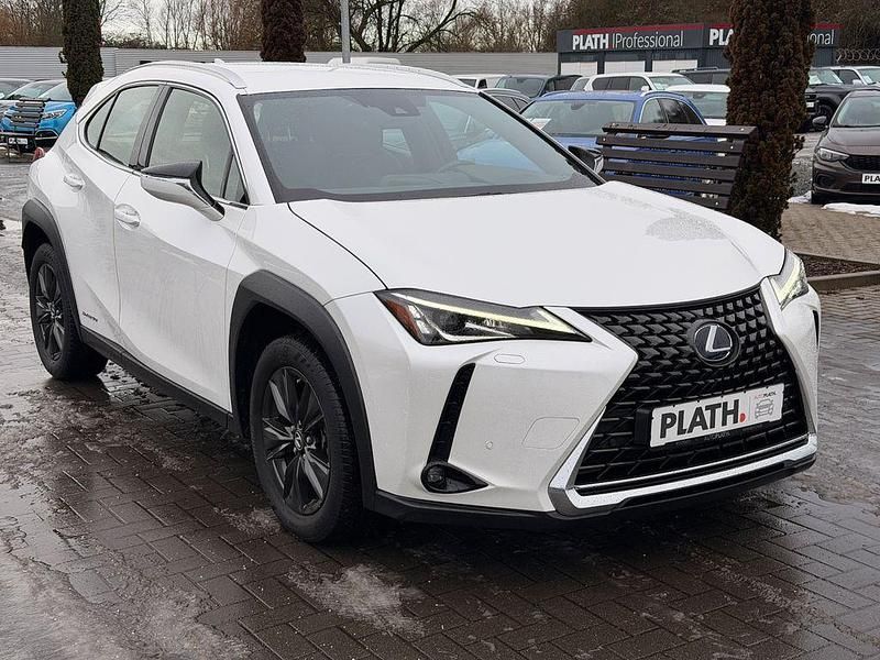 Gebraucht Lexus UX 250h Launch Edition 145 PS (106 kW) 2019 Weiß SUV
