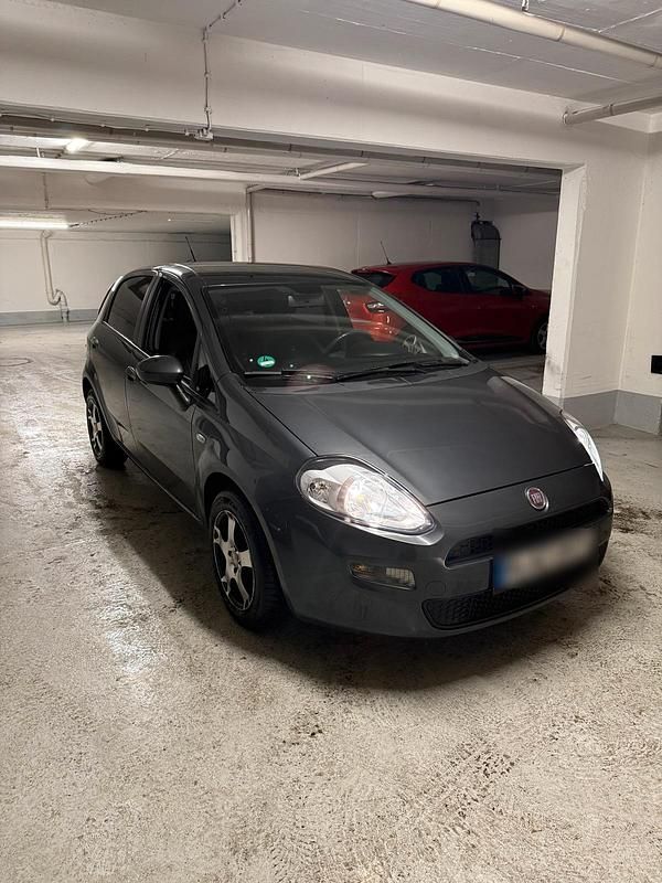 Grau Gebraucht 2012 Fiat Punto Easy Kleinwagen | 3.800 € (Fairer Preis) - Bild 1/4