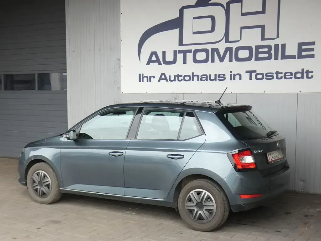 Gebraucht Skoda Fabia Active 75 PS (55 kW) 2019 Grau Kleinwagen