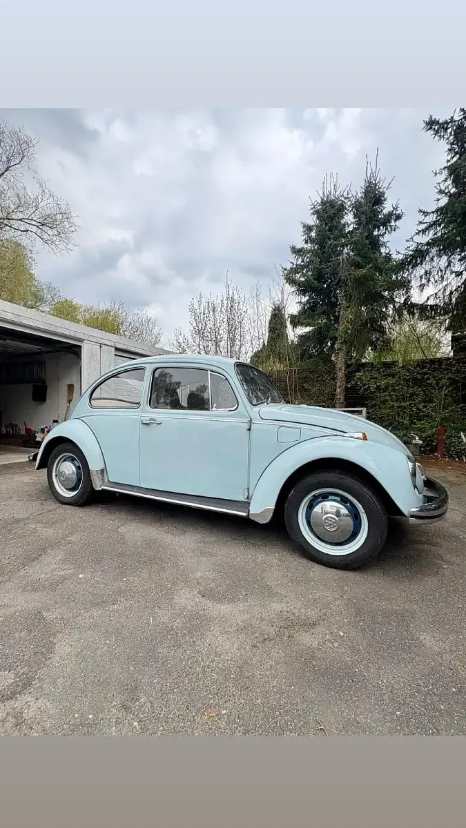Gebraucht VW Käfer 1969 Andere farben Kleinwagen