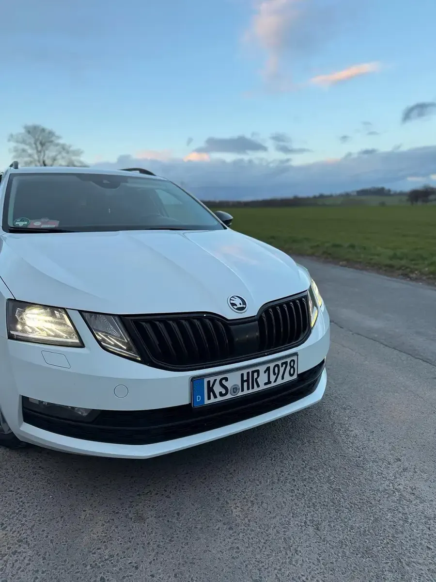 Gebraucht Skoda Octavia 150 PS (110 kW) 2017 Weiß Kombi