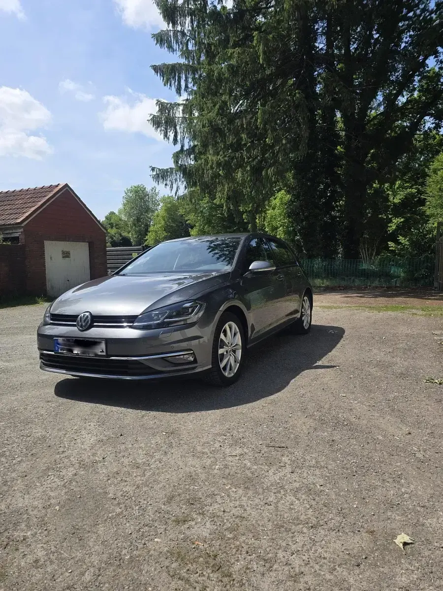 Gebraucht VW Golf VII Join 115 PS (84 kW) 2019 Grau Kleinwagen