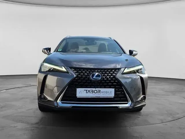 Gebraucht Lexus UX Luxury Line 178 PS (130 kW) 2019 Mercury grey metallic mercury grey metallic SUV