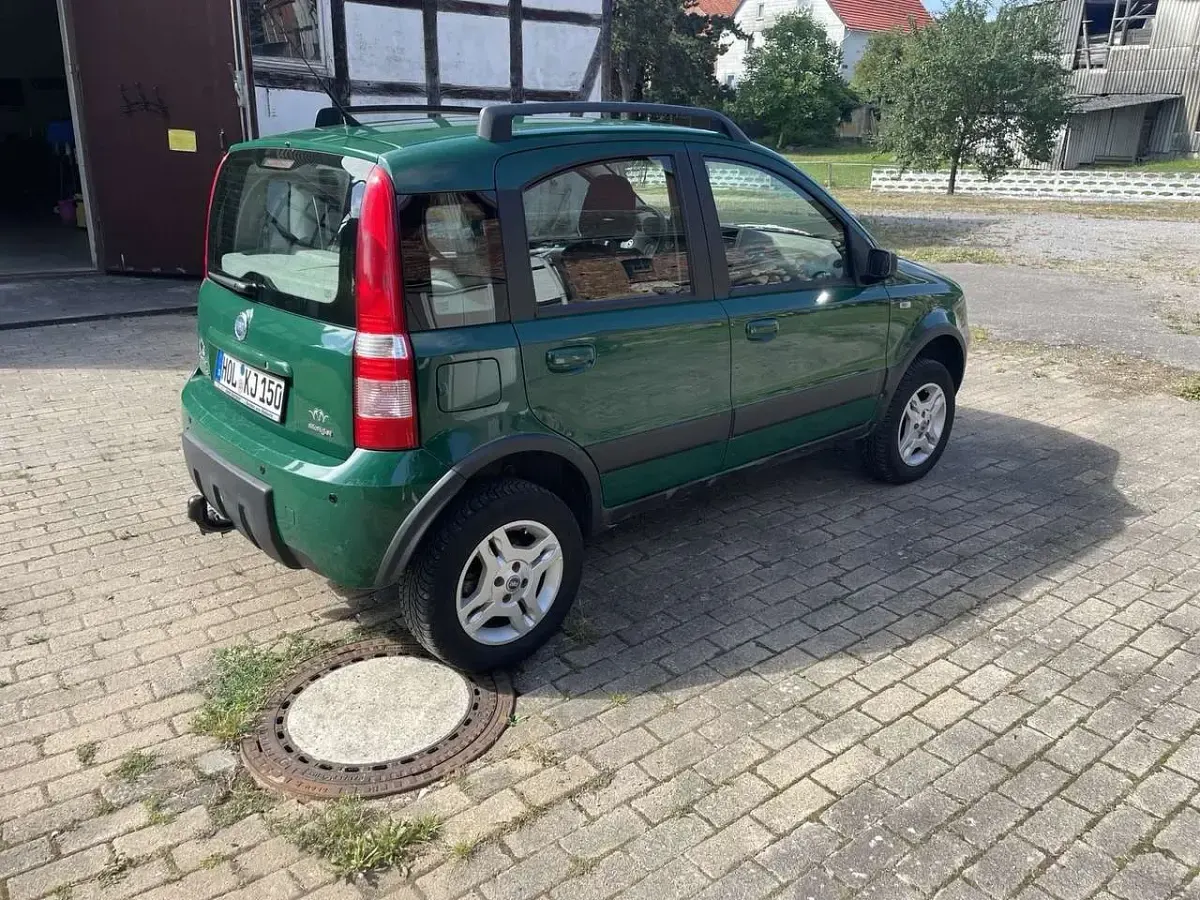 Gebraucht Fiat Panda 4x4 Climbing 69 PS (50 kW) 2006 Grün Kleinwagen