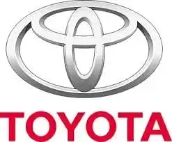 Gebraucht Toyota RAV4 Hybrid Style 219 PS (161 kW) 2025 Grau metallic (1g3) SUV