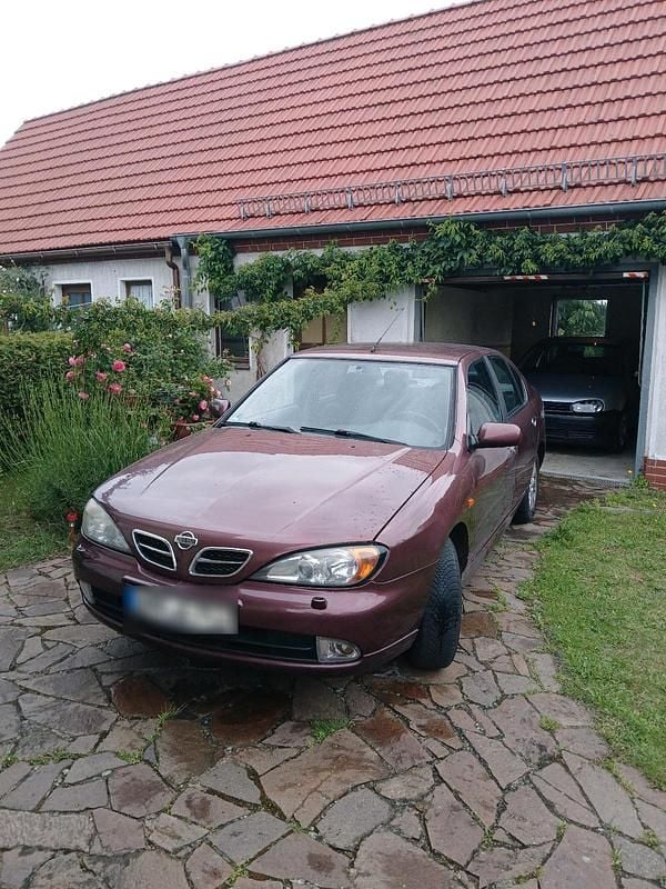 Violet Gebraucht 2002 Nissan Primera Limousine | 1.100 € (Etwas zu teuer) - Bild 1/4