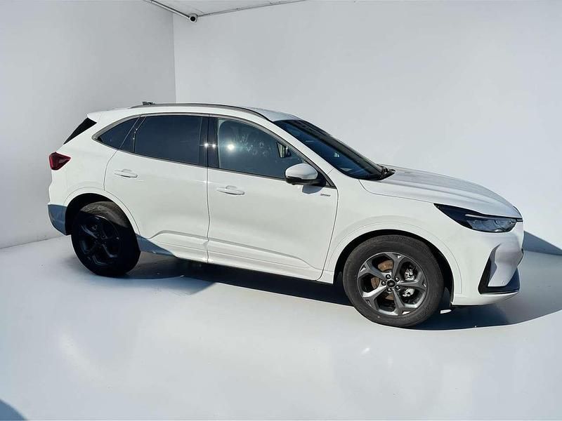 Neu Ford Kuga ST-Line 190 PS (139 kW) 2026 Frostweiß SUV