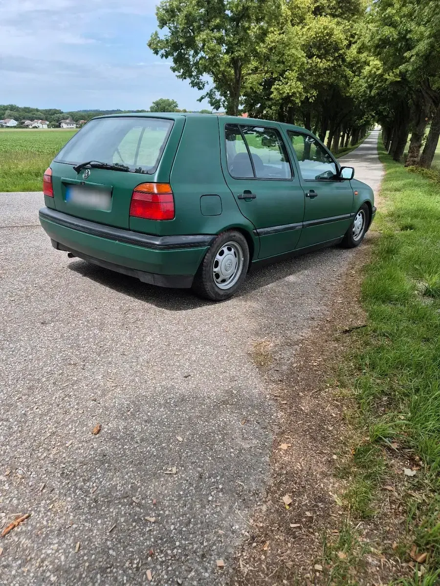 Gebraucht VW Golf III 75 PS (55 kW) 1993 Grün Kleinwagen