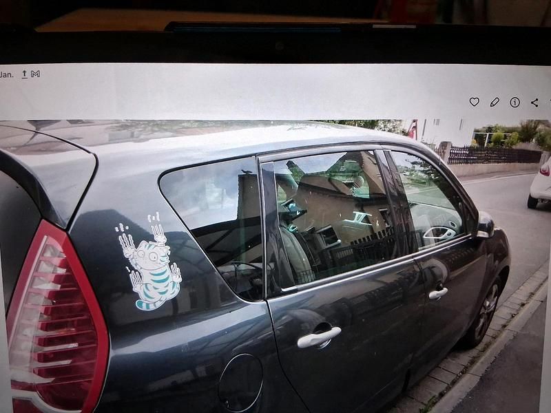 Grau Gebraucht 2009 Renault Scénic Van / Kleinbus | 2.400 € (Superpreis) - Bild 1/4