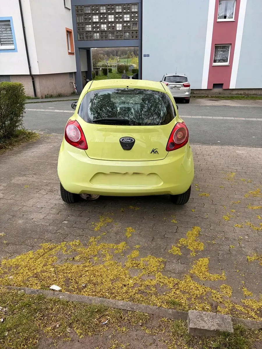 Usata Ford Ka 69 CV (50 kW) 2009 Verde Utilitaria