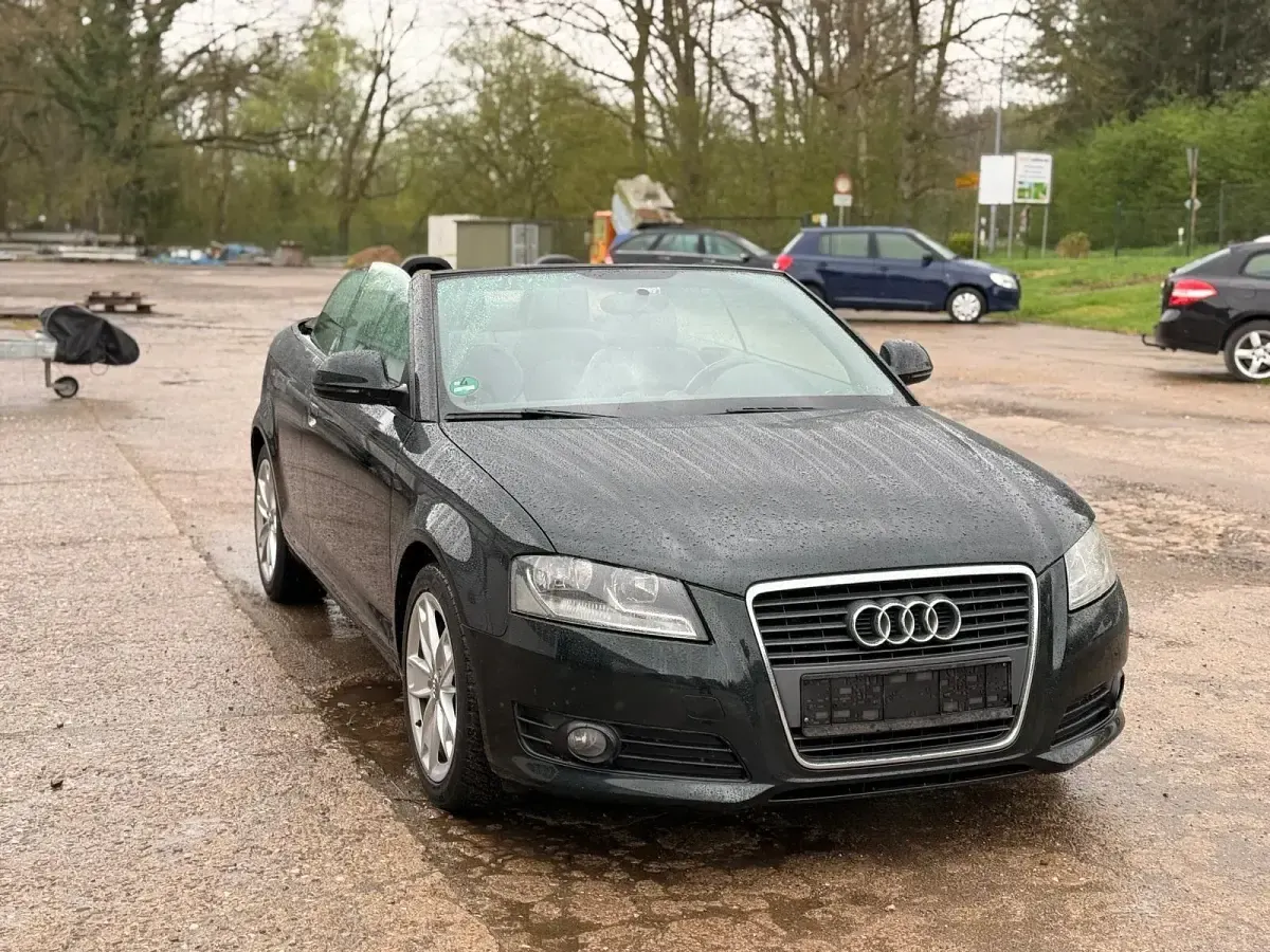Gebraucht Audi A3 Cabriolet 160 PS (117 kW) 2009 Grün Cabrio