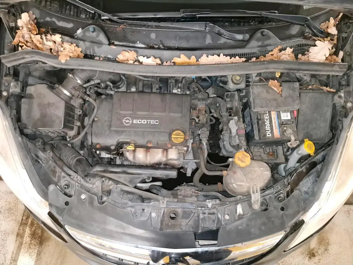 Gebraucht Opel Corsa 86 PS (63 kW) 2011 Kleinwagen