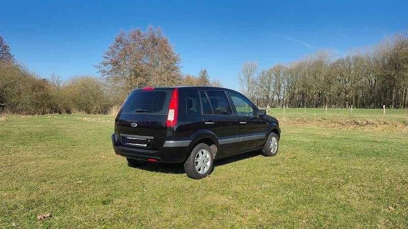 Gebraucht Ford Fusion Ambiente 75 PS (55 kW) 2005 Schwarz Kleinwagen