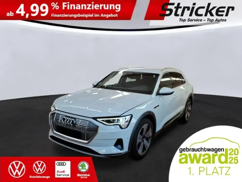 Gebraucht Audi e-tron Advanced Plus 300 kW (408 PS) 2023 Gletscherweiß metallic (metallic) SUV
